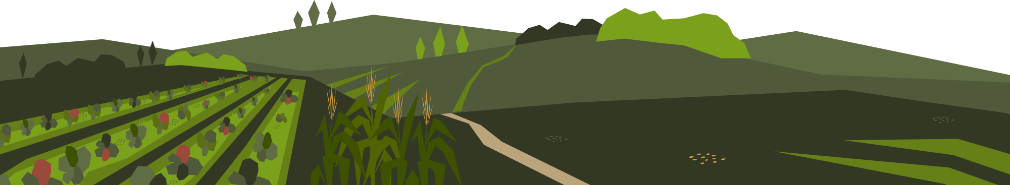 footer backround agricultural stakes